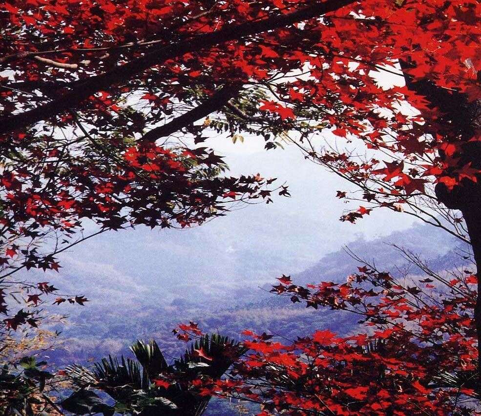 關子嶺，關子嶺溫泉